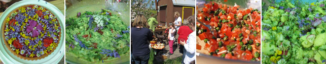 Wildkräuterzubereitung